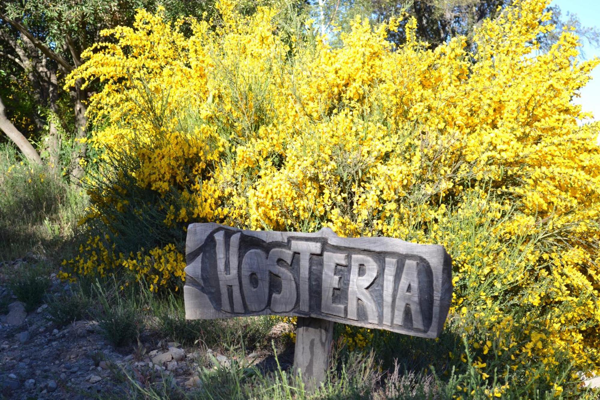 Sieteflores Hosteria De Montaña San Martín de los Andes Exterior foto